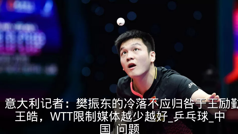 意大利记者：樊振东的冷落不应归咎于王励勤王皓，WTT限制媒体越少越好_乒乓球_中国_问题
